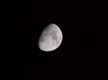 mond01 mond01